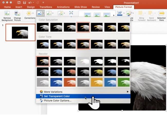 Come creare immagini trasparenti in Microsoft PowerPoint