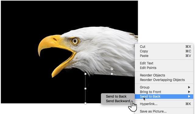 Come creare immagini trasparenti in Microsoft PowerPoint