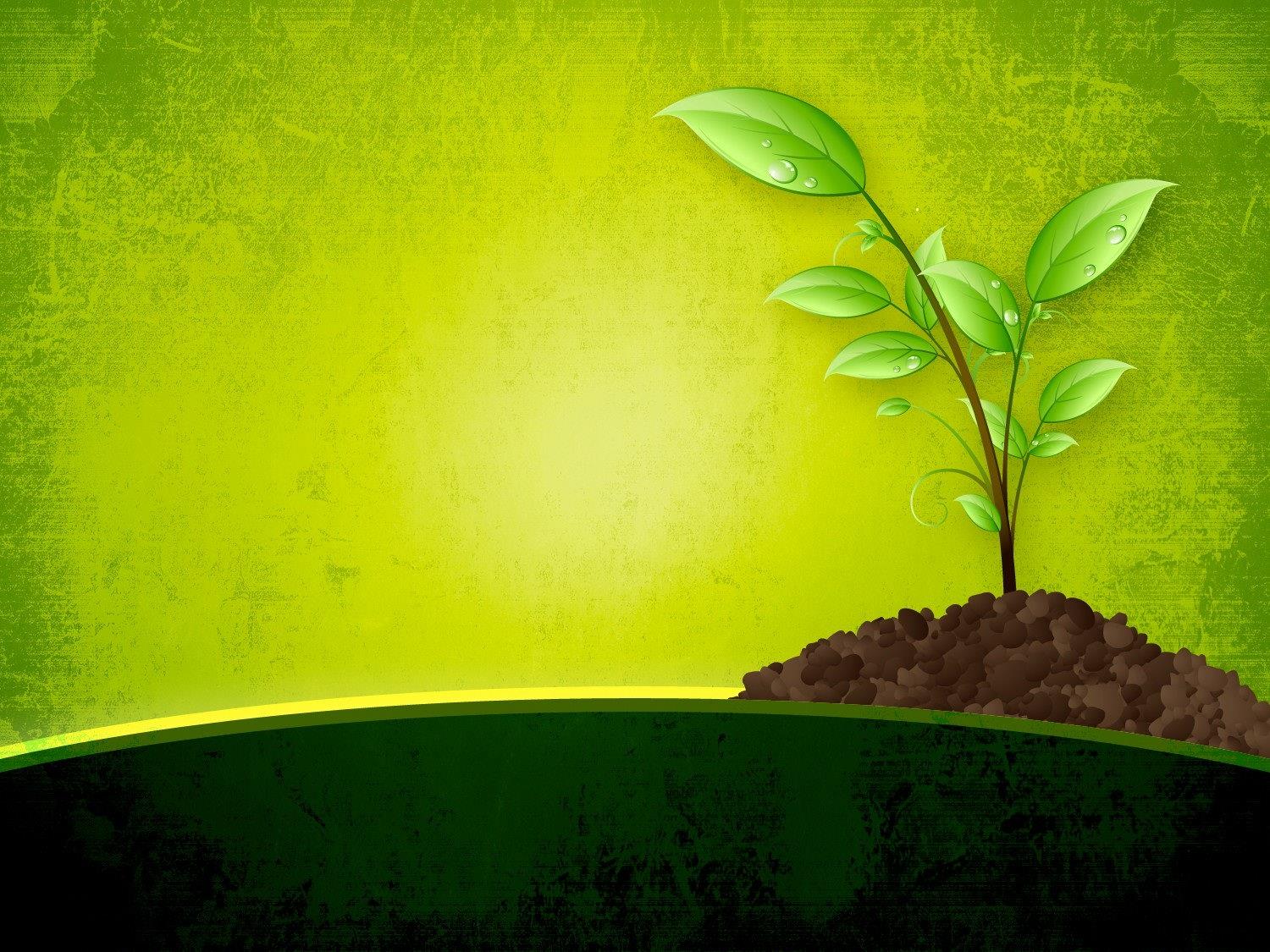 Beautiful environmental theme powerpoint wallpapers