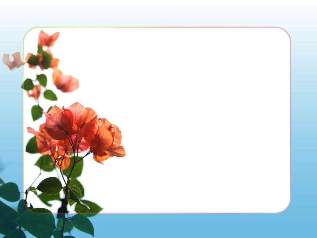 Beautiful flower theme powerpoint wallpapers