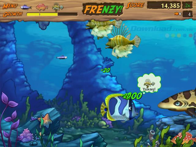 Feeding Frenzy 2 - Game big fish eat small fish