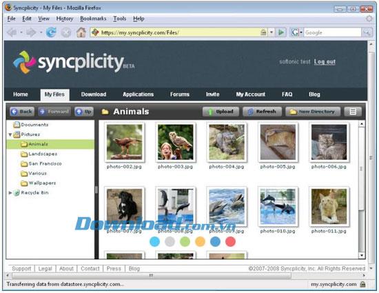 Syncplicity Business Edition 2.0.3856 - Daten synchronisieren und freigeben