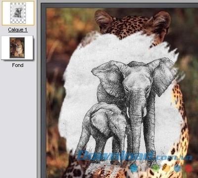 PhotoFiltre 7.2.1-免費的照片編輯軟件