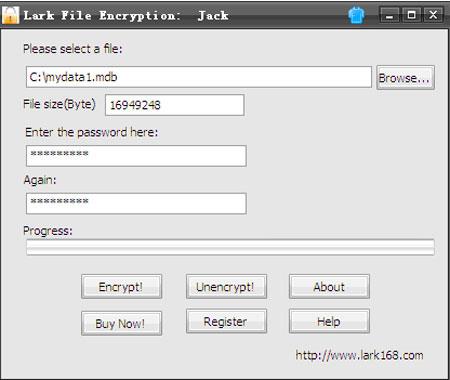 Lark File Encryption