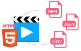 Any Video Converter Pro 7.0.7 - Logiciel de conversion vidéo professionnel