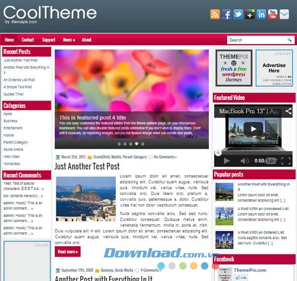 CoolTheme - WrodPress-Vorlage für Business-Blog