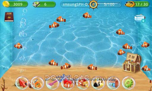 Fish Live für Android 1.3.2 - Fischzuchtspiel