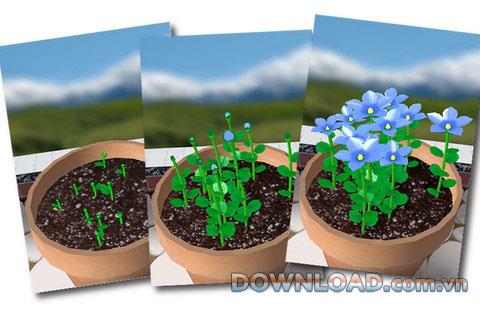 Flower Garden Free pour iOS - Divertissement de jeu pour iPhone