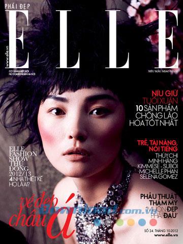 ELLE Vietnam pour iPad 1.3 - Magazine de mode