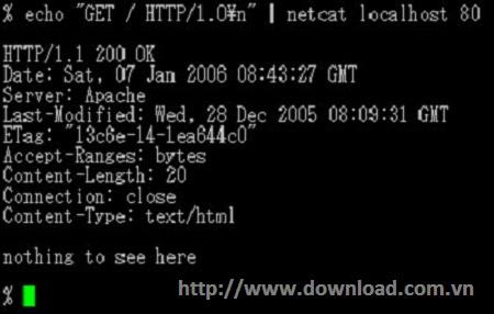 Netcat für Linux