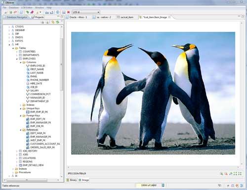 DBeaver für Linux (64-Bit)