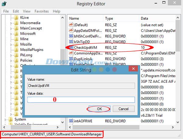 How to fix IDM error of Fake Serial Number