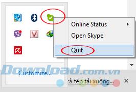 How to fix Skype blue screen error