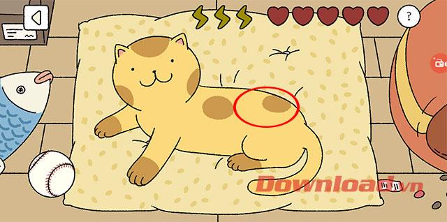 How to pet cat when playing Adorable Home game