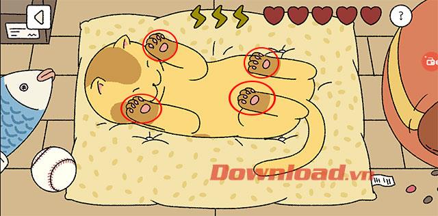 Cara memelihara kucing saat bermain game Adorable Home