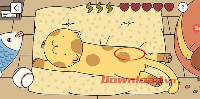 How to pet cat when playing Adorable Home game