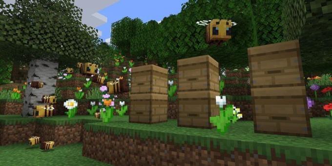 Come raccogliere e usare il miele in Minecraft