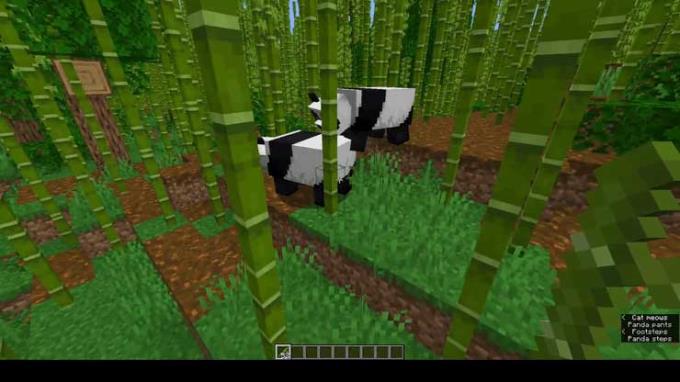 Minecraft: Wo finde ich Pandas