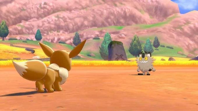 Pokémon Sword and Shield: How to Catch and Evolve Eevee