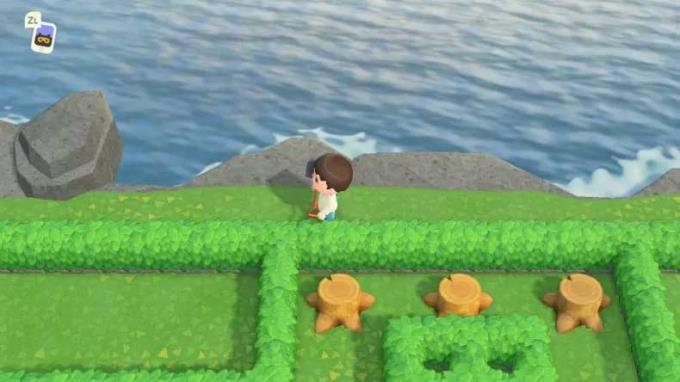 Comment jouer à Mayday Maze dans Animal Crossing: New Horizons