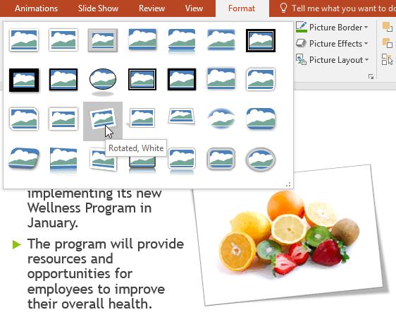 Learn PowerPoint - Lesson 14: Format pictures in PowerPoint