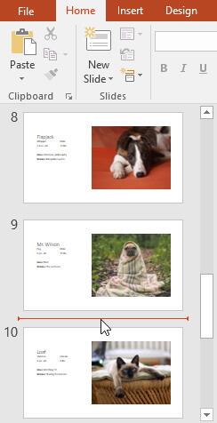 PowerPoint 배우기 - 3단원: 기본 PowerPoint 슬라이드 사용 지침