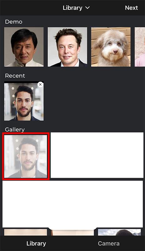 Istruzioni per l'uso del collage di foto del viso di Avatarify