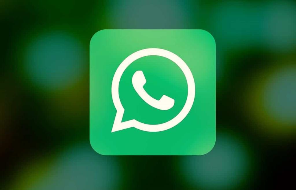 Как извлечь контакты группы WhatsApp