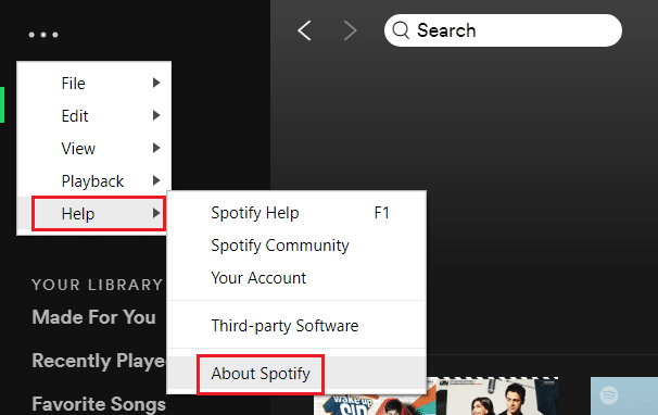 Betulkan Spotify Tidak Dibuka pada Windows 10