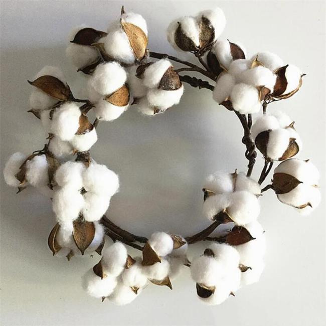 Synthesis of the most beautiful cotton flower images - snowflakes of heaven and earth