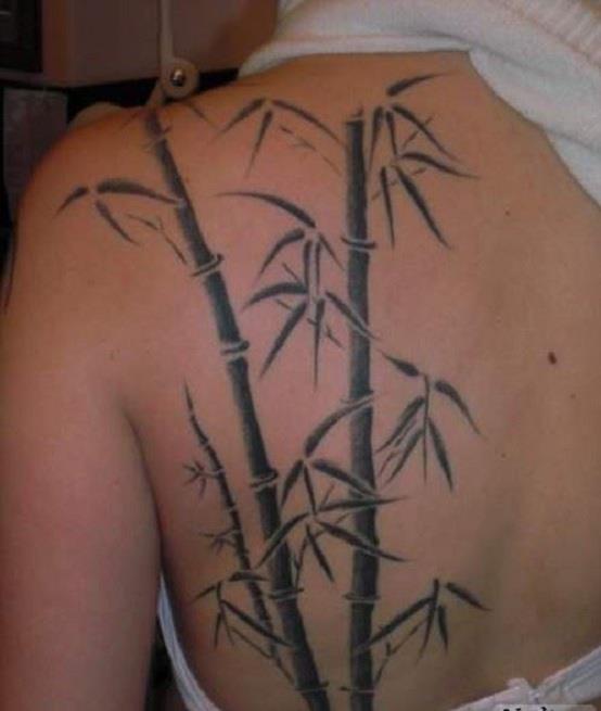 Kolekcja najpiękniejszych bambusowych wzorów tatuaży