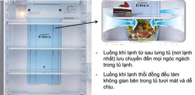 Perché acquistare un frigorifero Toshiba?