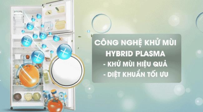 Tecnologia antimicrobica sui frigoriferi Toshiba