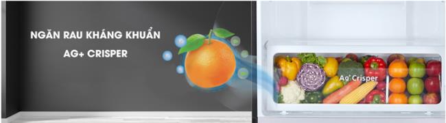 Antimikrobielle Technologie bei Toshiba-Kühlschränken