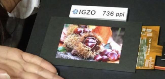 شارپ صفحه نمایش 4.1 اینچی IGZO را با تراکم پیکسلی زیاد معرفی می کند