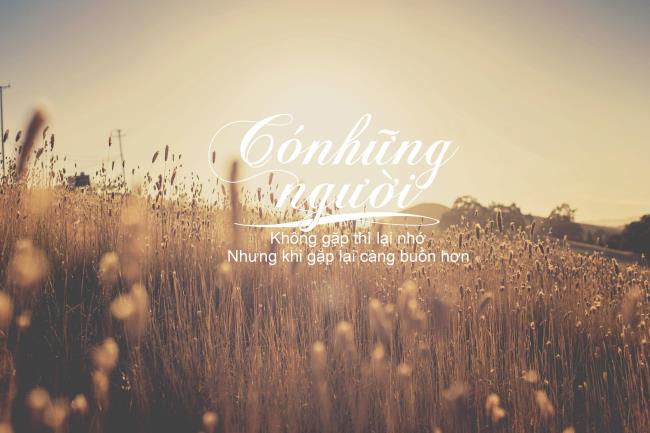 Collection of the most beautiful Typo love images