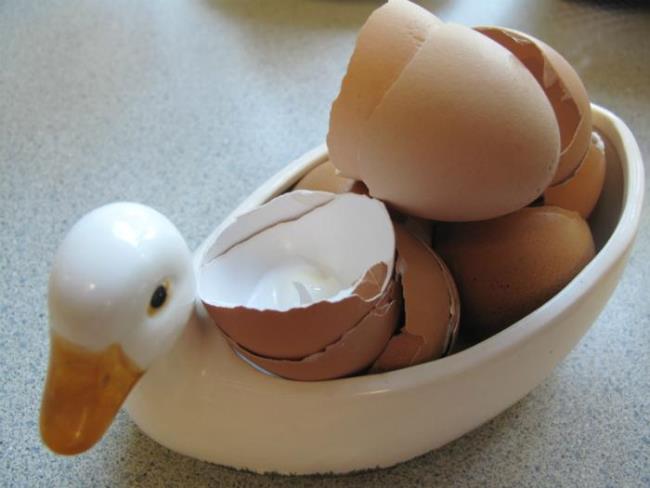 Mitos tentang efek berbahaya telur