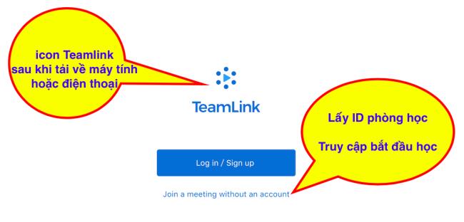 Istruzioni dettagliate per lutilizzo di TeamLink dalla A alla Z.