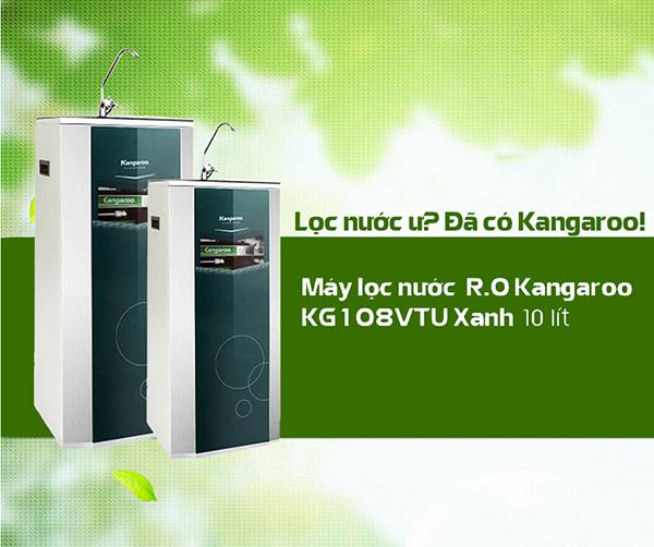 Should you buy the KANGAROO KG108VTU Green water purifier?