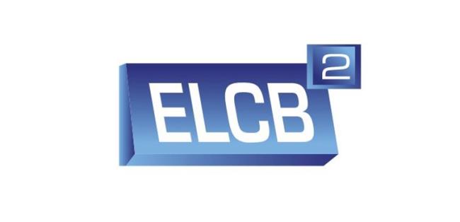 ELCB-Anti-Schock-Gerät am Warmwasserbereiter