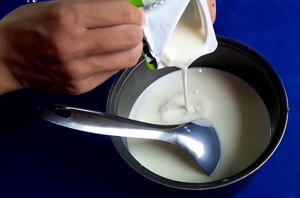 Anleitung zur Herstellung von Joghurt mit einem Reiskocher zu Hause