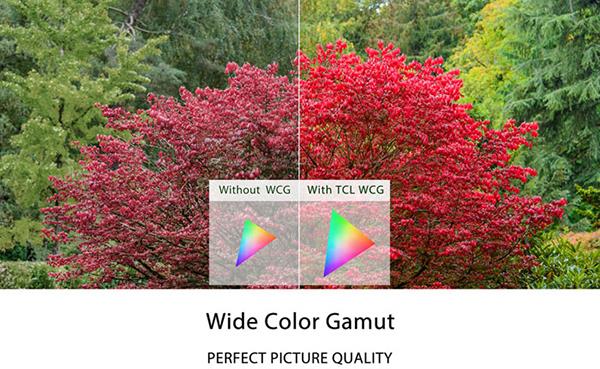 What is the Wide Color Gamut technology on TCL TVs?