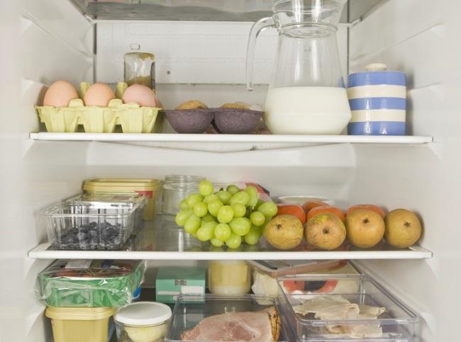 تعليمات حول كيفية استخدام الثلاجة بشكل صحيح وفعال