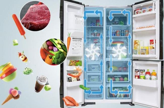 Should buy a refrigerator Hitachi or Samsung?