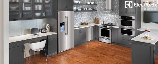 Should I buy an Electrolux or Hitachi refrigerator?