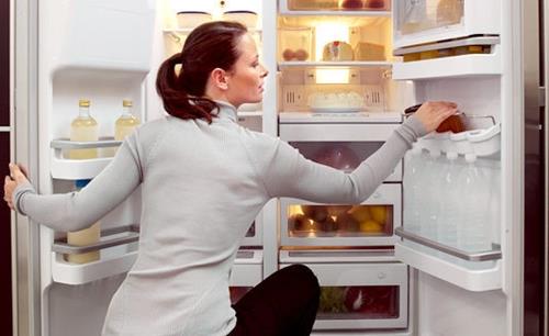 Haruskah mencabut lemari es ketika berhenti digunakan untuk sementara waktu?