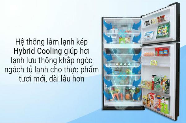 Entdecken Sie das Hybrid-Kühlsystem am Sharp-Kühlschrank