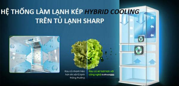 Entdecken Sie das Hybrid-Kühlsystem am Sharp-Kühlschrank