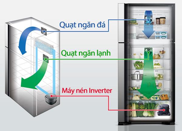 Structure and operating principle of the refrigerator