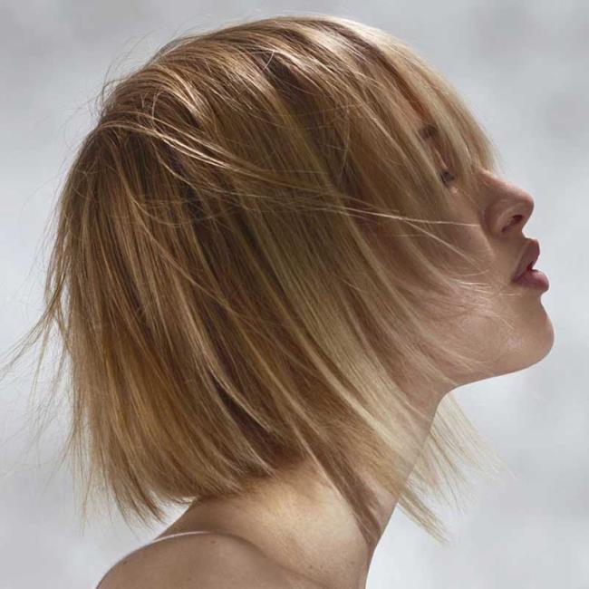 Hair Bob 2020 Summer: 80 ทรงสวยทันสมัย